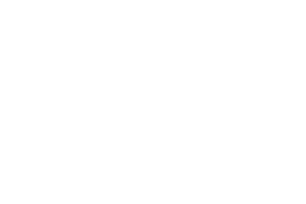 Stanford Wordmark (White)